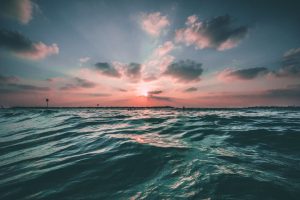 The Hidden Link Between Energy Levels and Your Body's Maintenance Processes