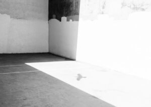 What is stoicism today?