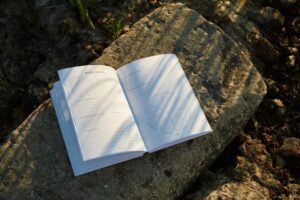 Journaling the Stoic Way: A Tool for Self-Improvement