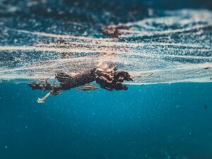 Exploring the Types of Motivation: A Deep Dive