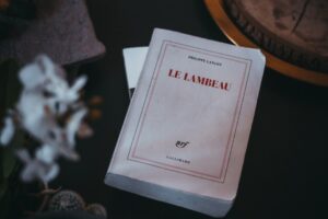 Everything You Need to Know About Claude AI