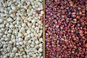 Arabica vs. Robusta: Price Comparison