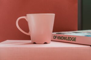 The Four Key Principles of Learning Explained