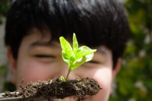 Four Essential Ingredients for a Growth Mindset