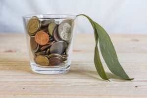 Exploring the Drawbacks of Using a Wealth Manager