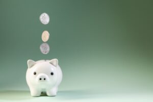 Evaluating the Costs of Wealth Managers